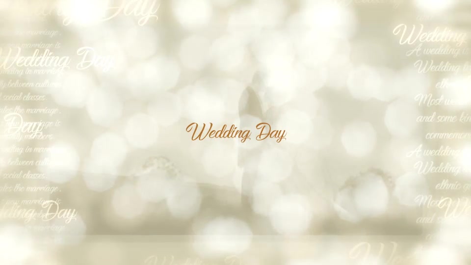 Wedding Slideshow Videohive 20507867 After Effects Image 2