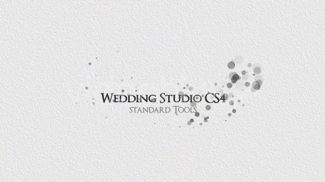 Wedding Studio - Download Videohive 843476