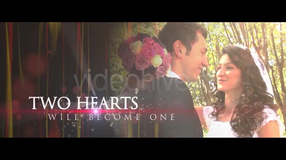 Wedding Teaser - Download Videohive 2827196