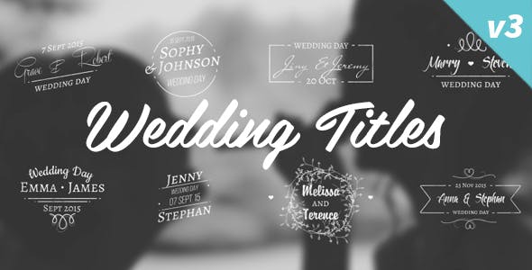Wedding Titles - 12263510 Download Videohive