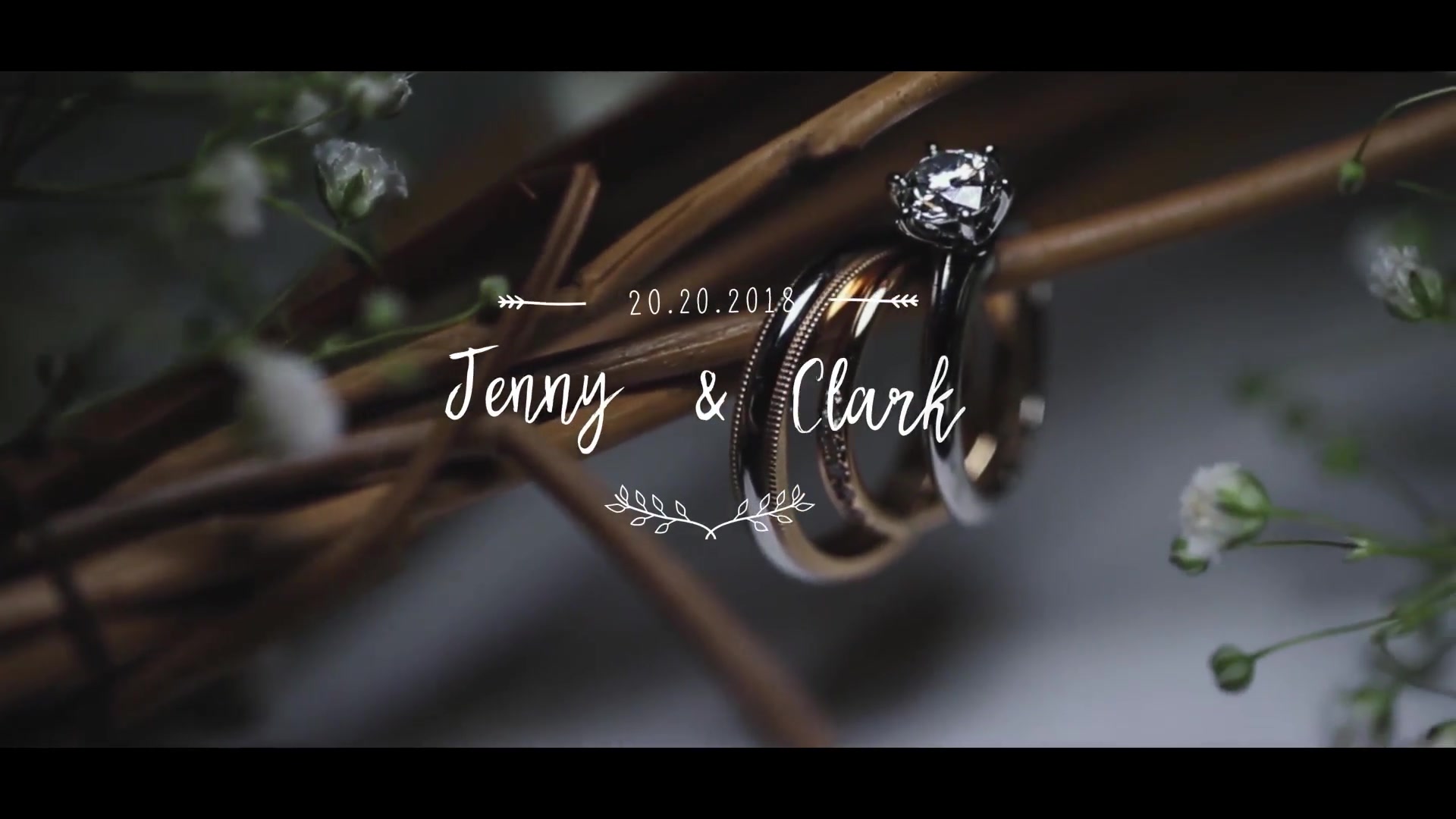 Wedding Titles 2 - Download Videohive 20874561