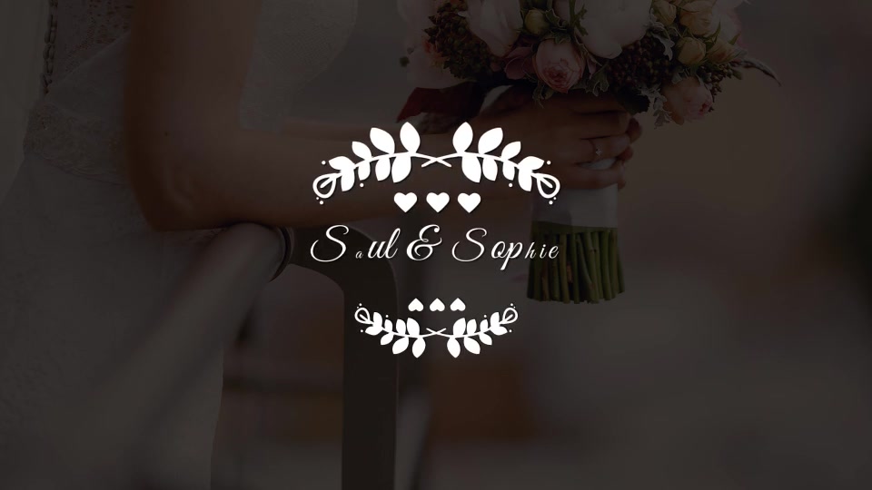 Wedding Titles Videohive 21467159 After Effects Image 6