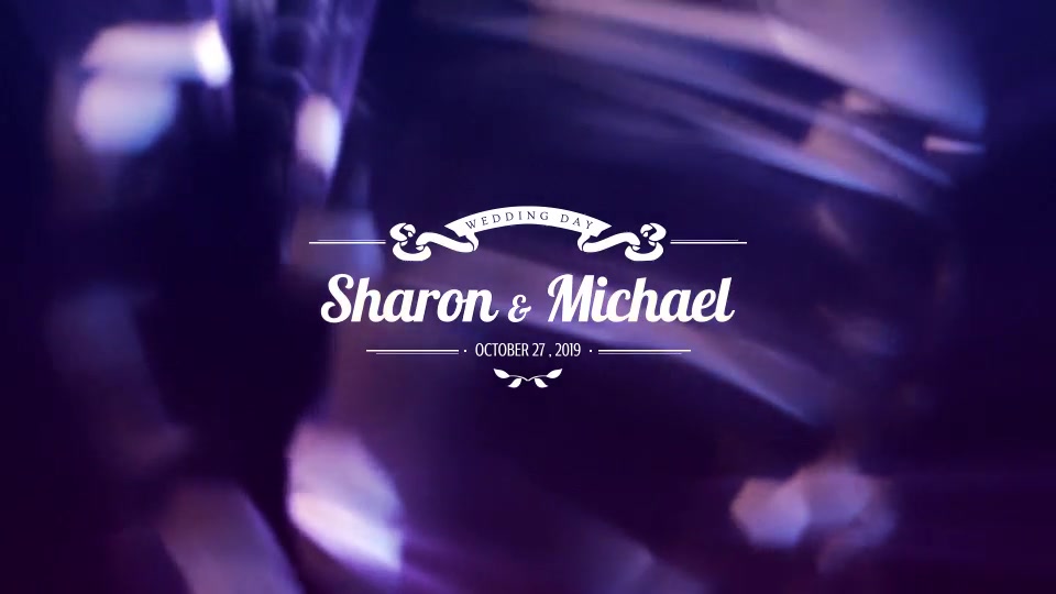 Wedding Titles Videohive 21649618 After Effects Image 11