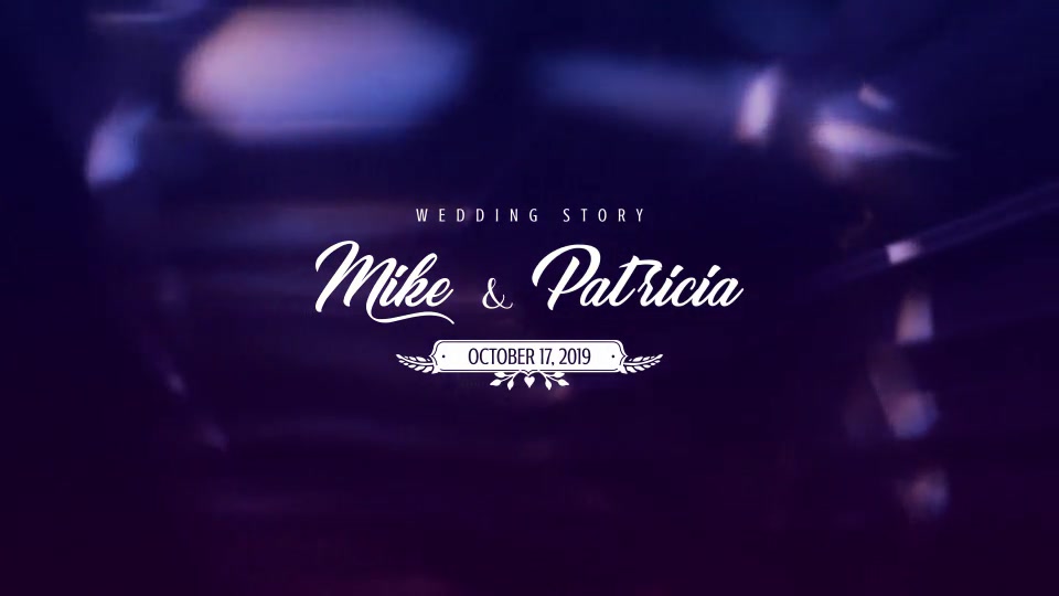 Wedding Titles Videohive 21649618 After Effects Image 6
