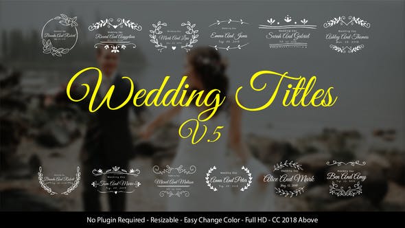Wedding Titles - 22030075 Videohive Download