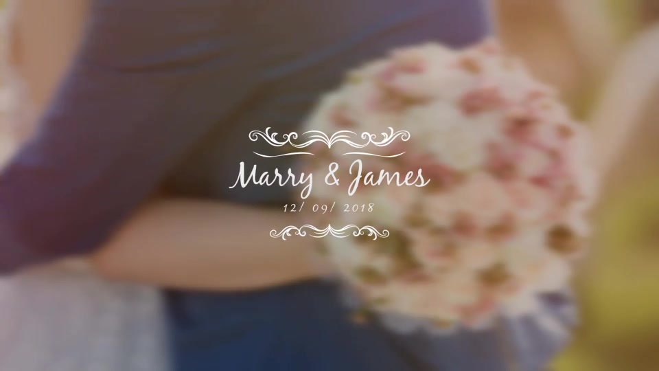 Wedding Titles Videohive 22070117 After Effects Image 11
