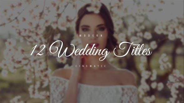 Wedding Titles - 22070117 Videohive Download