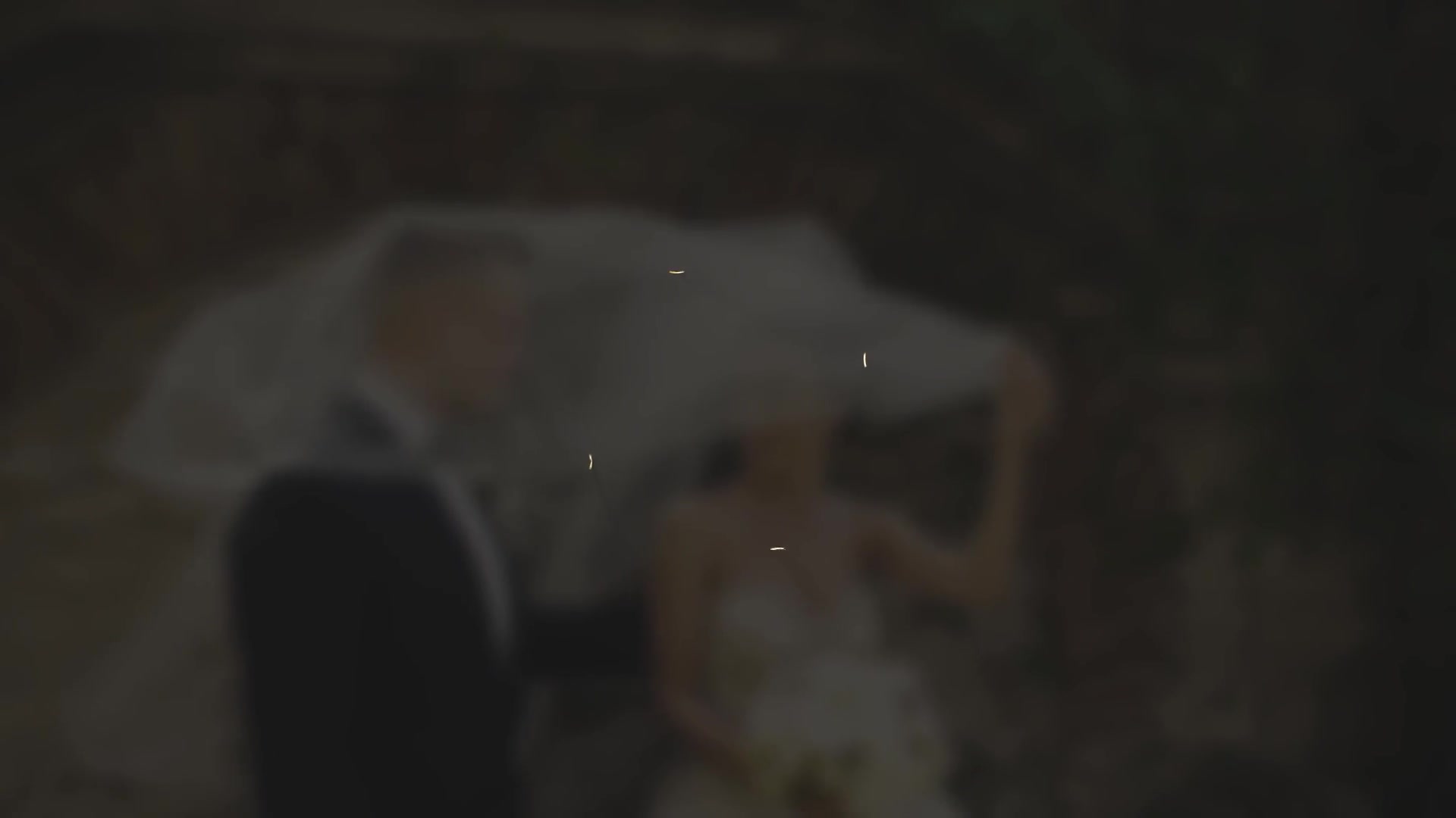 Wedding Titles Videohive 24305958 Premiere Pro Image 9