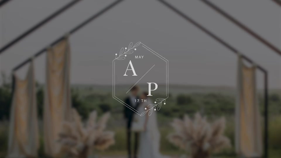 Wedding Titles Videohive 45462916 After Effects Image 4