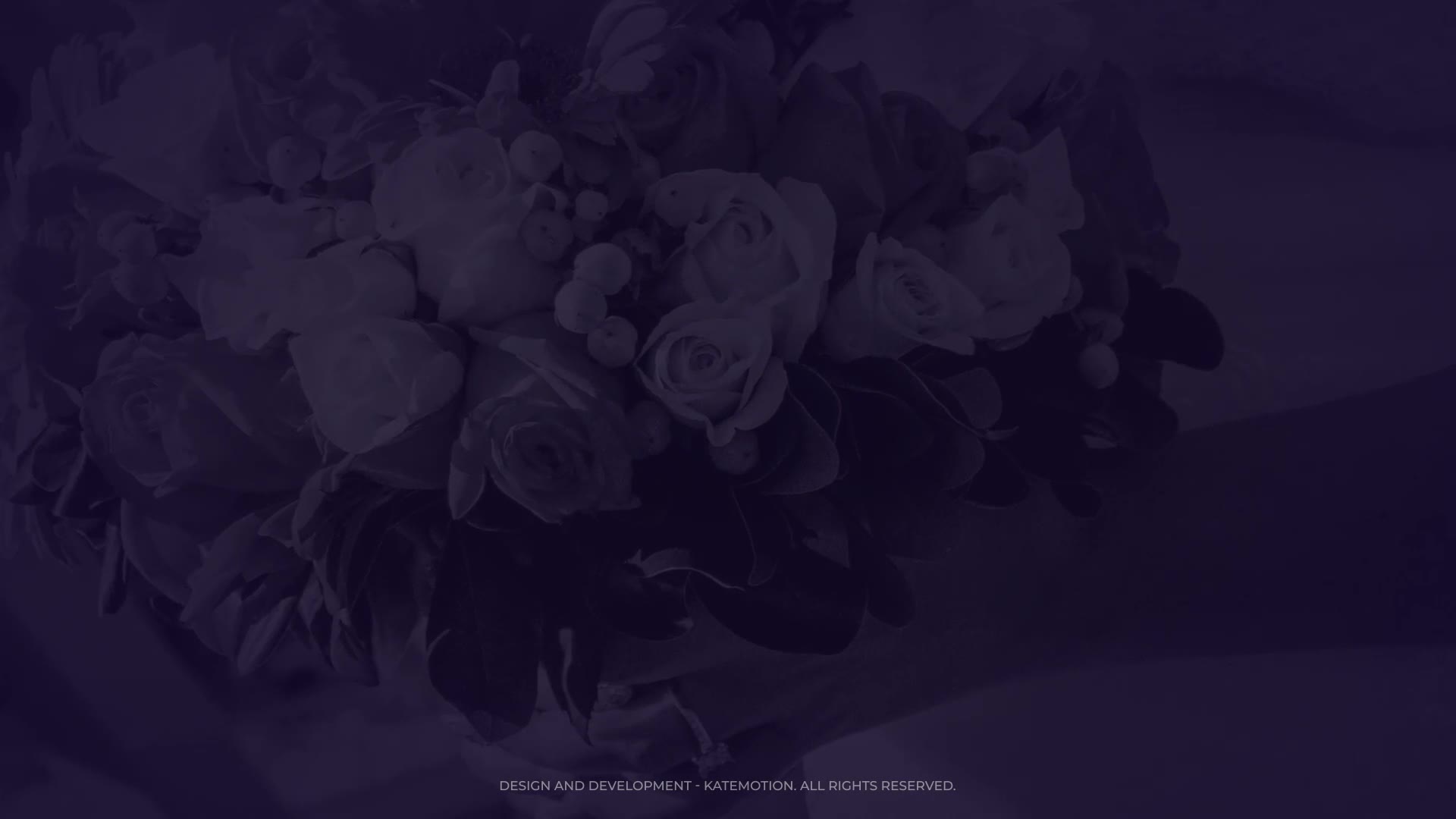 Wedding Titles | After Effects Videohive 33877770 After Effects Image 3