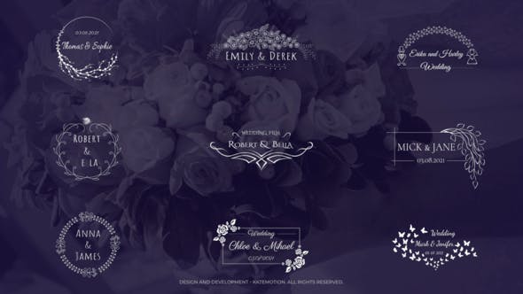 Wedding Titles | After Effects - Videohive Download 33877770