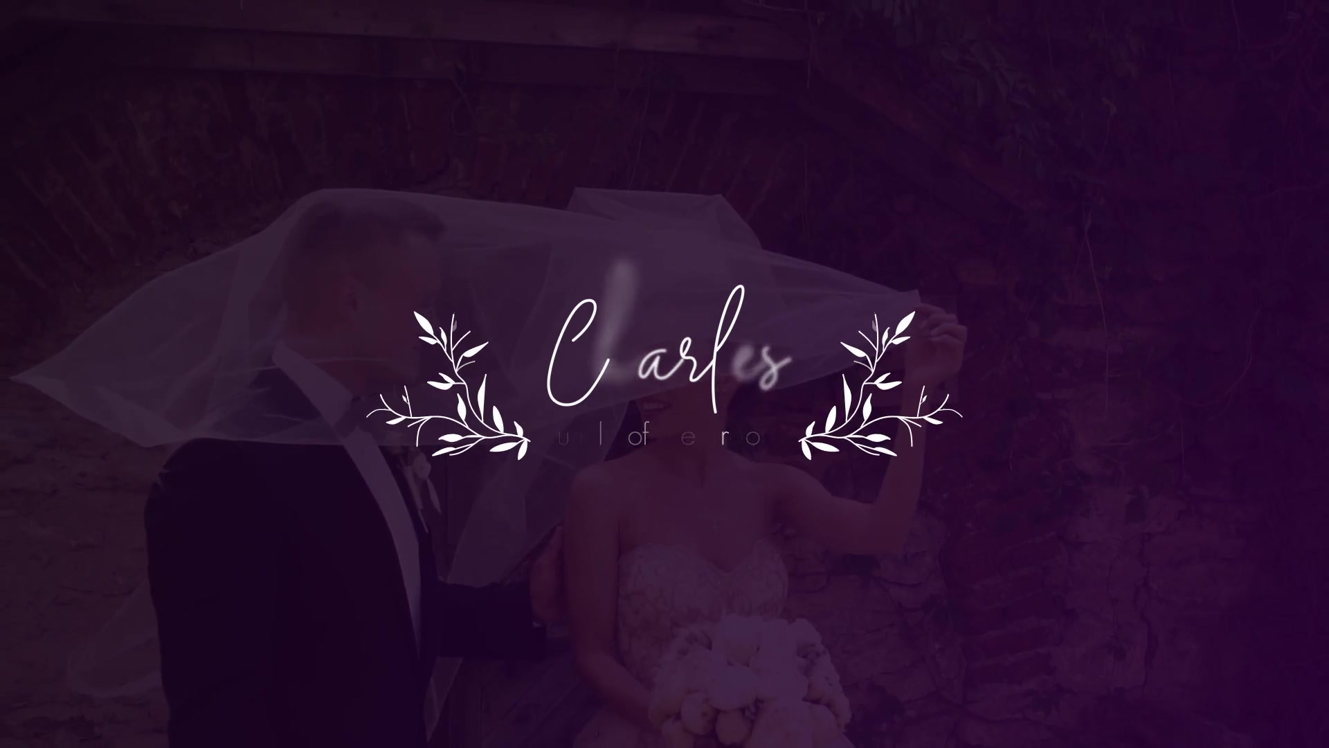 Wedding Titles and Lower Thirds Videohive 24659098 Premiere Pro Image 10