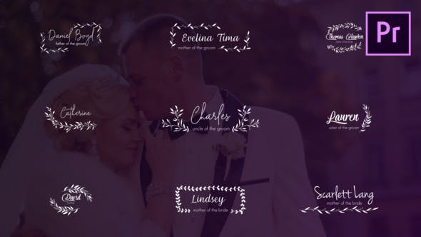 Wedding Titles and Lower Thirds - Download 24659098 Videohive