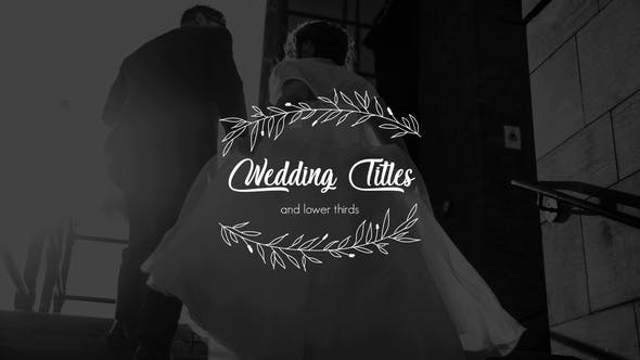 Wedding Titles and Lower Thirds - Download Videohive 26068780