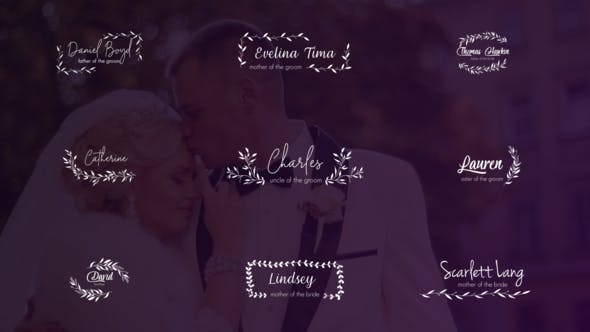 Wedding Titles and Lower Thirds - Videohive Download 24656288