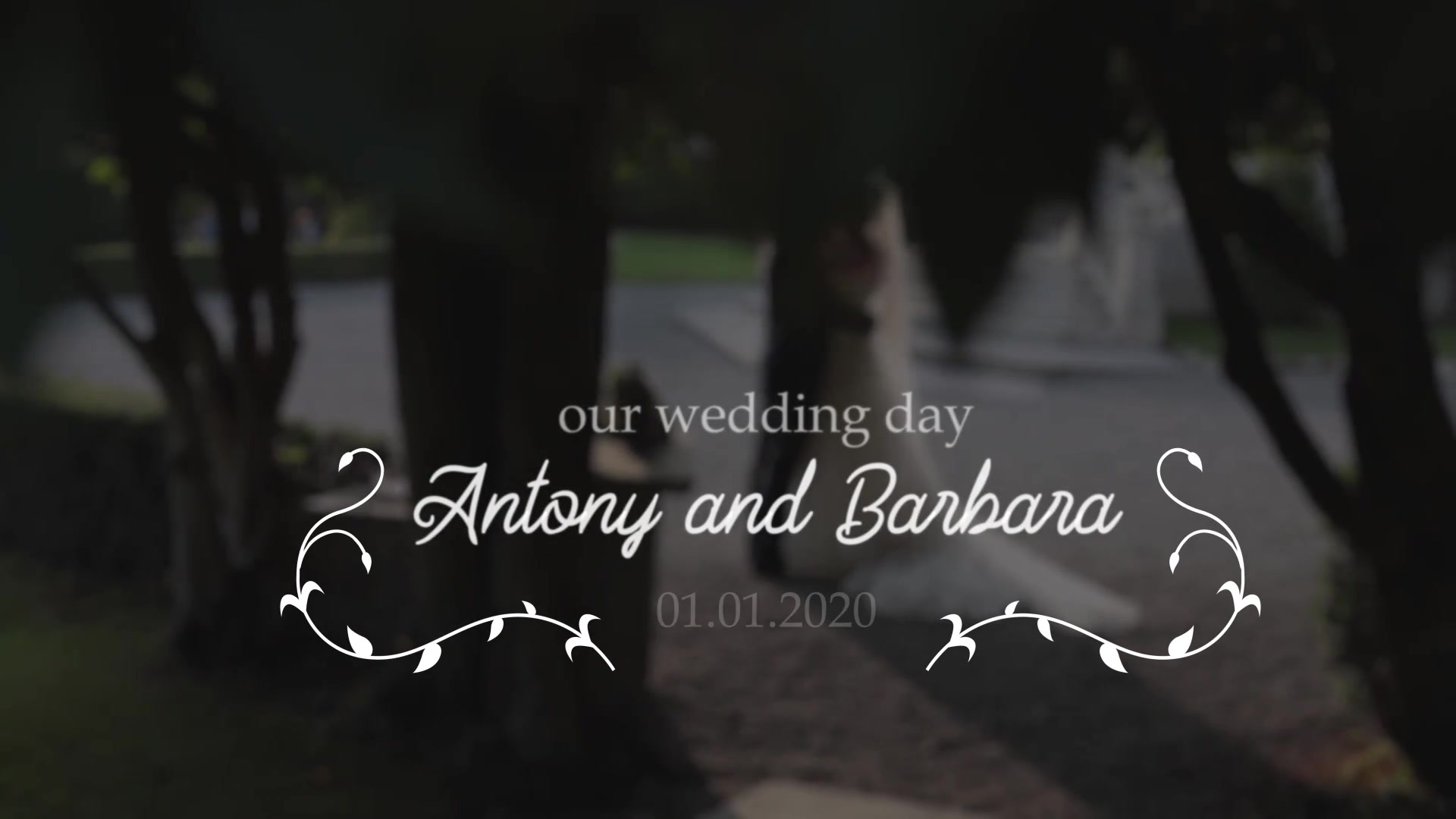 Wedding Titles | DaVinci Resolve Videohive 36709904 DaVinci Resolve Image 7