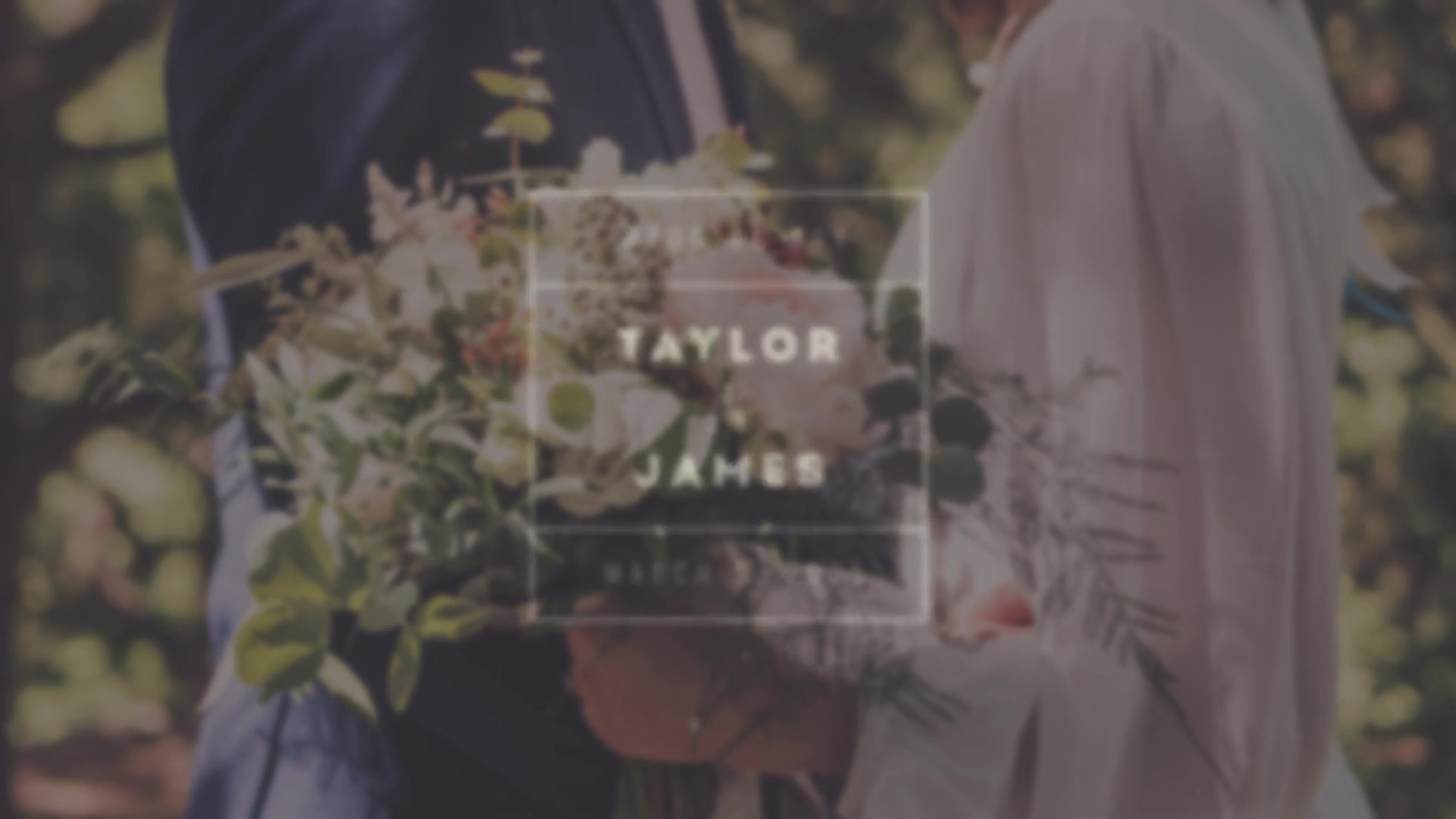 Wedding Titles Videohive 35156691 After Effects Image 7