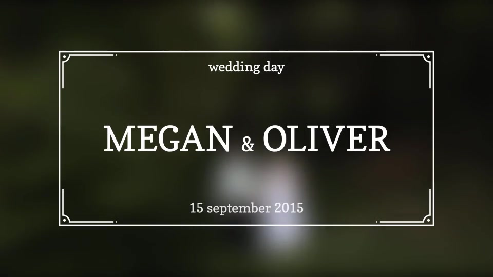 Wedding Titles - Download Videohive 11804990