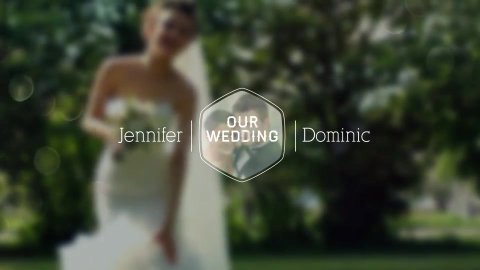 Wedding Titles - Download Videohive 12298413