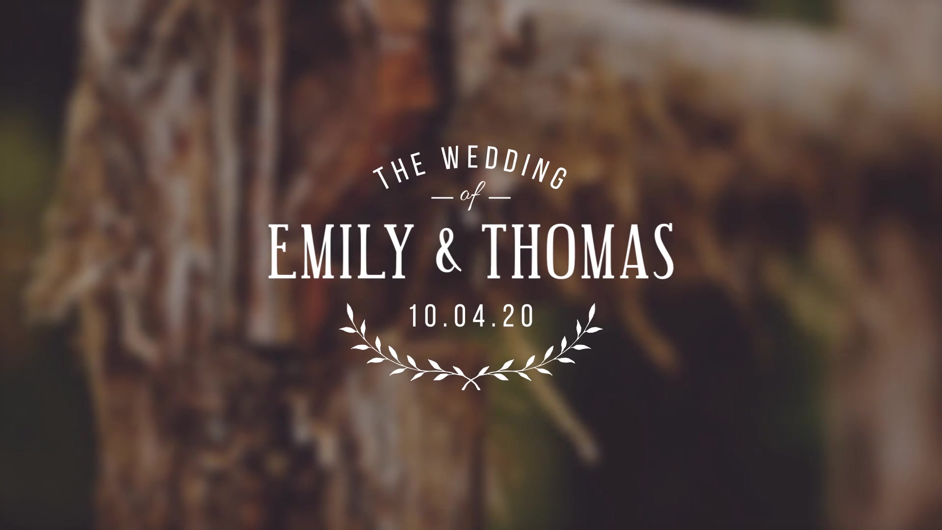 Wedding Titles - Download Videohive 15927020