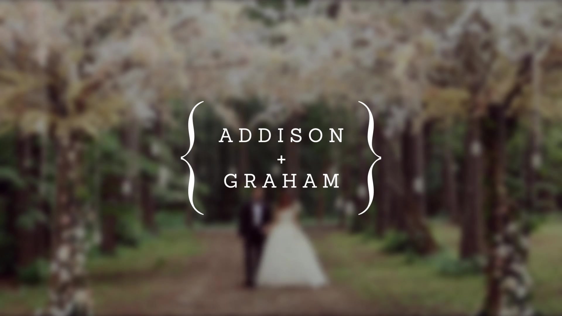 Wedding Titles - Download Videohive 15927020