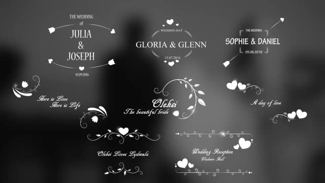 Wedding Titles - Download Videohive 17267979