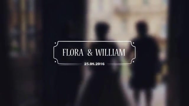 Wedding Titles - Download Videohive 17267979