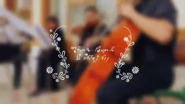 Wedding Titles - Download Videohive 17267979