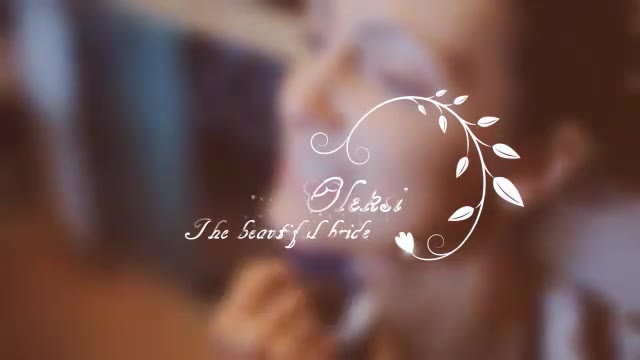 Wedding Titles - Download Videohive 17267979