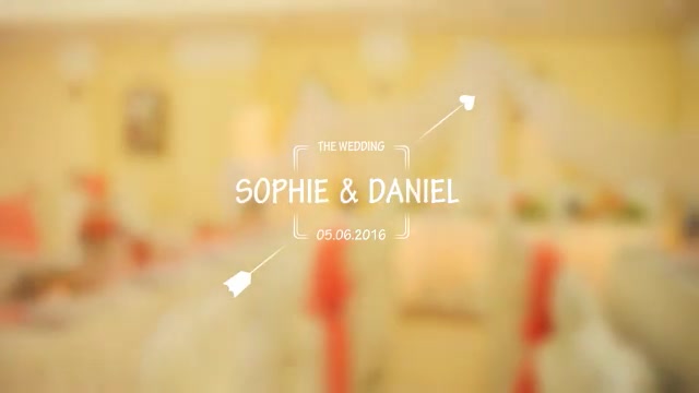 Wedding Titles - Download Videohive 17267979