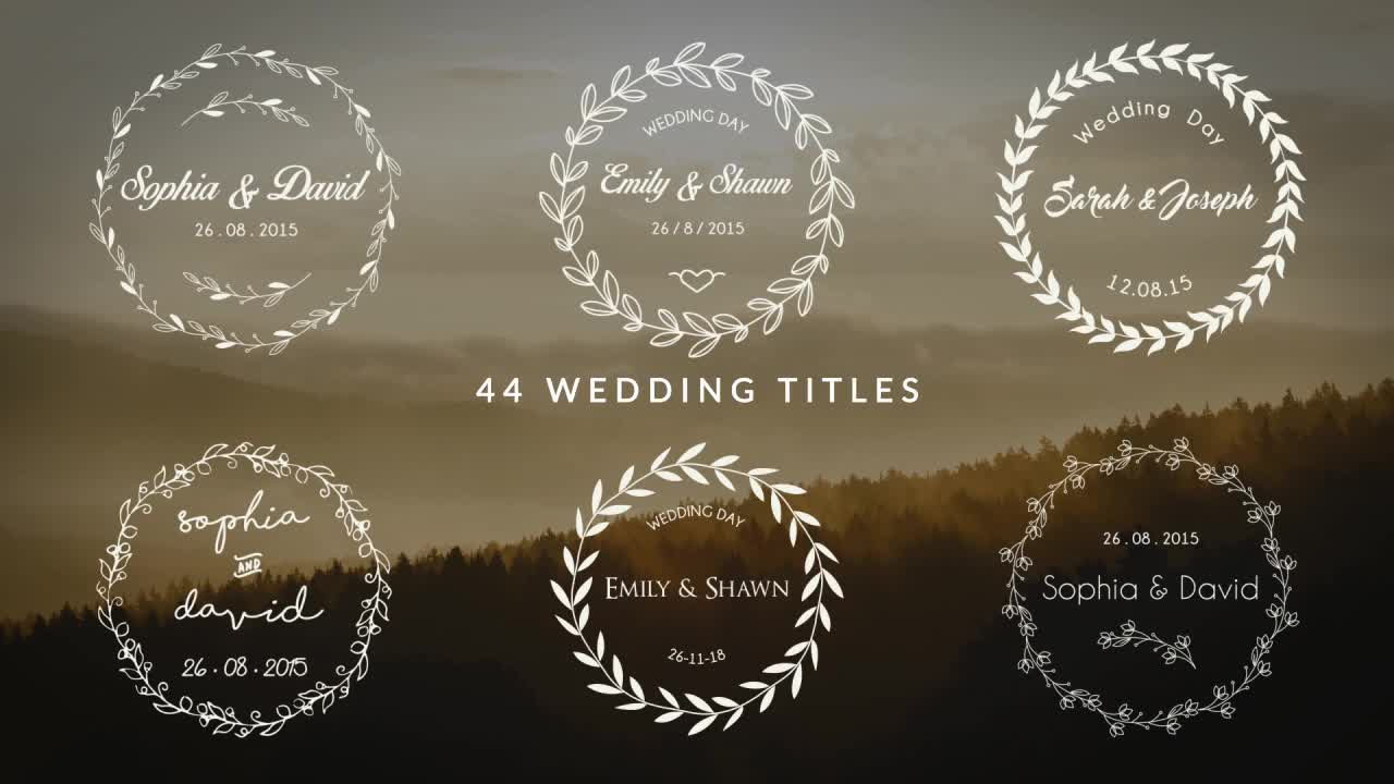 Wedding Titles - Download Videohive 17622074