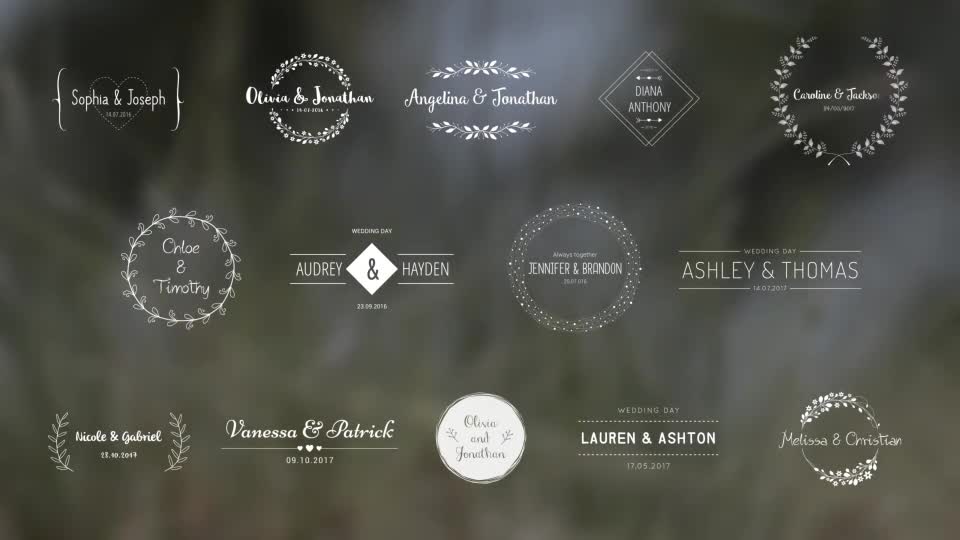 Wedding Titles - Download Videohive 18849528