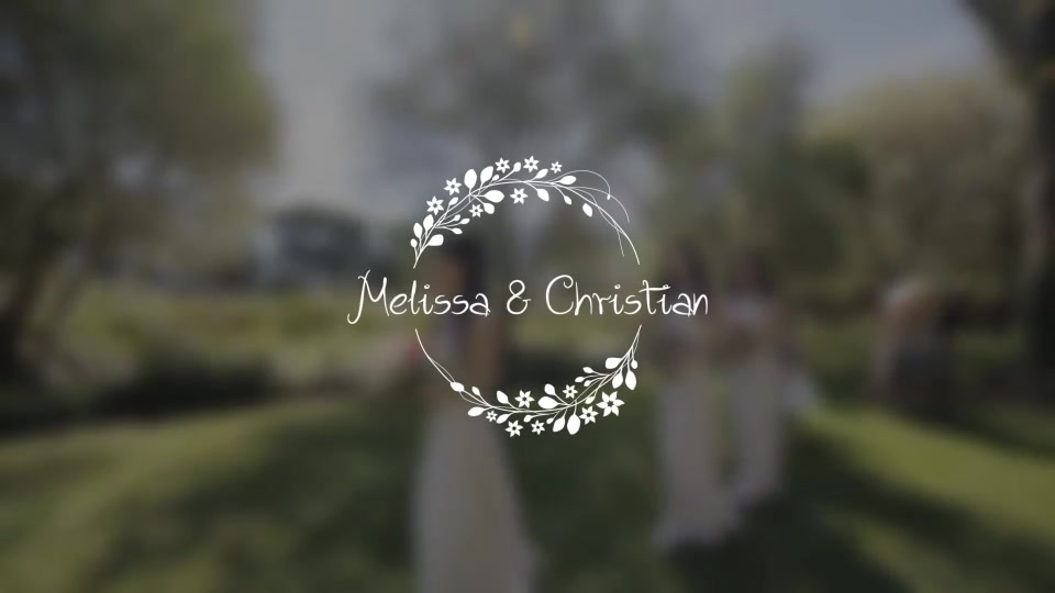 Wedding Titles - Download Videohive 18849528