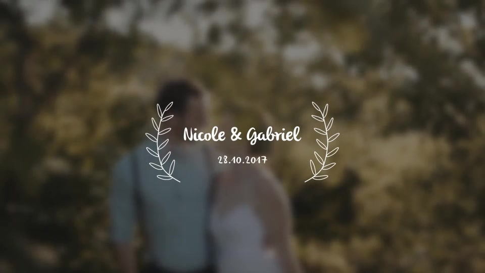 Wedding Titles - Download Videohive 18849528