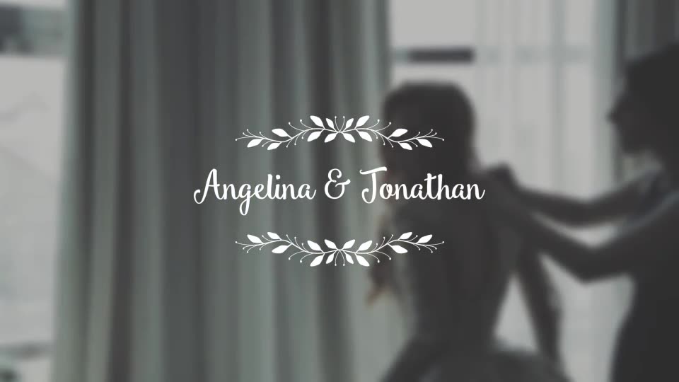 Wedding Titles - Download Videohive 18849528