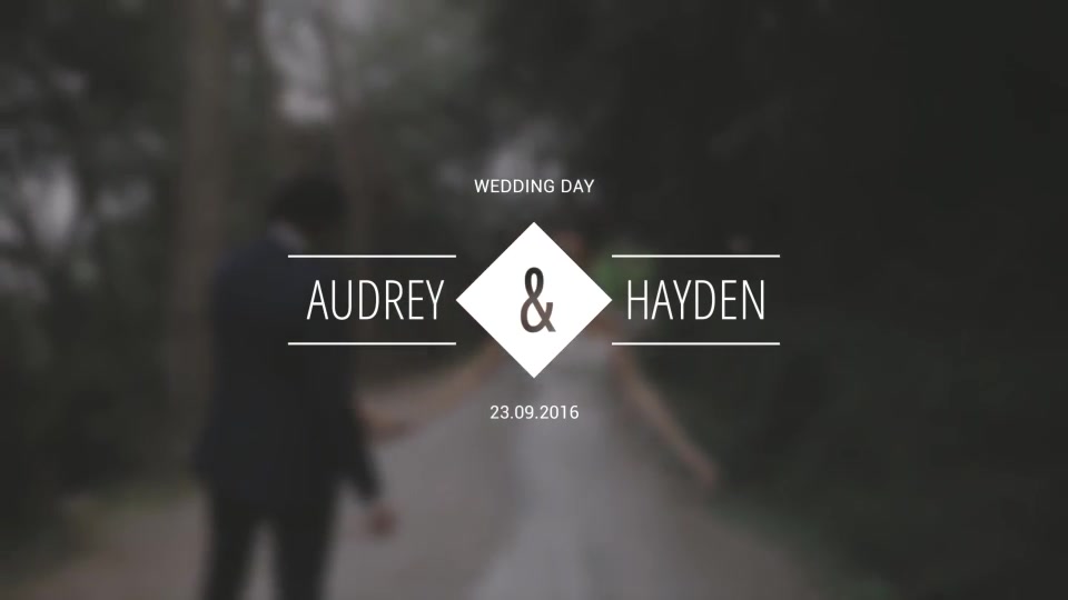 Wedding Titles - Download Videohive 18849528