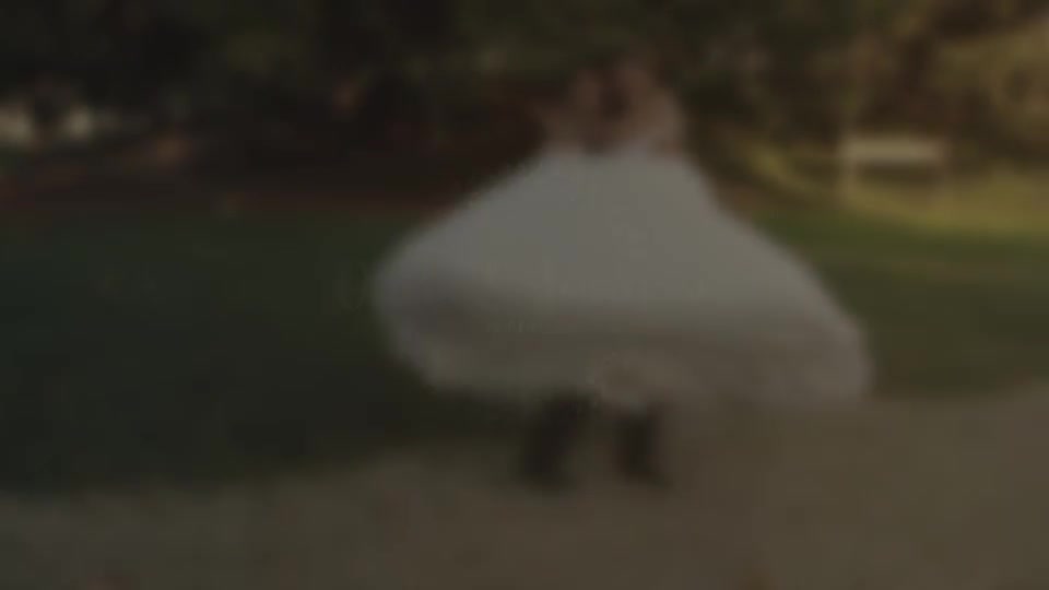 Wedding Titles - Download Videohive 18849528