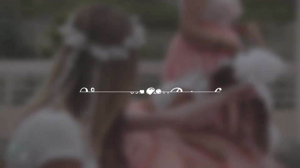 Wedding Titles - Download Videohive 18849528