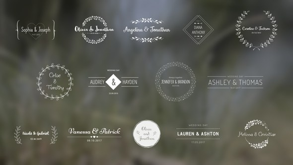 Wedding Titles - Download Videohive 18849528