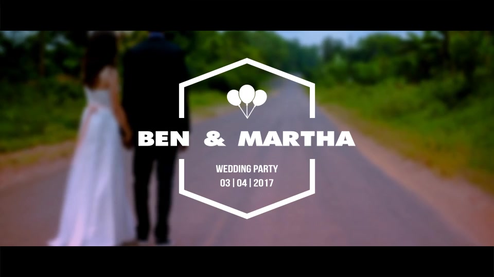 Wedding Titles - Download Videohive 19108830