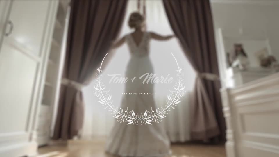 Wedding Titles - Download Videohive 19477052