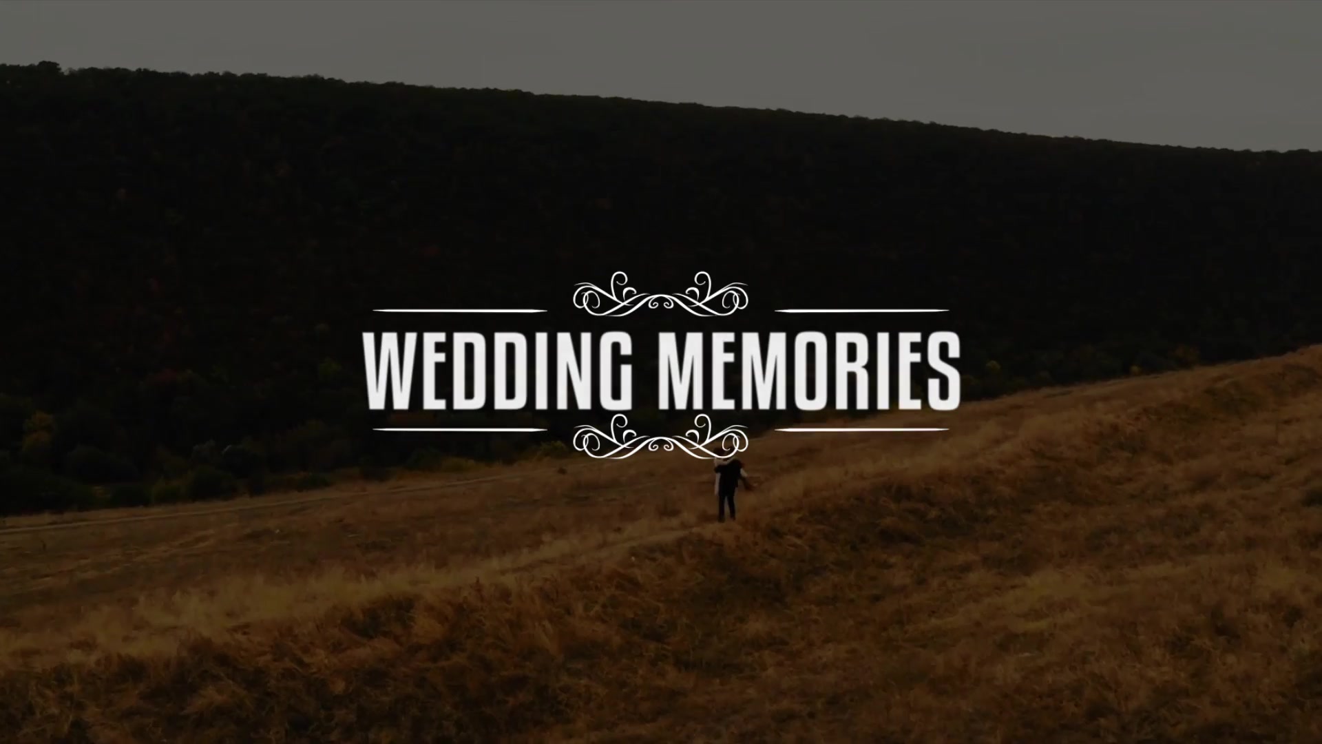 Wedding Titles - Download Videohive 19761639