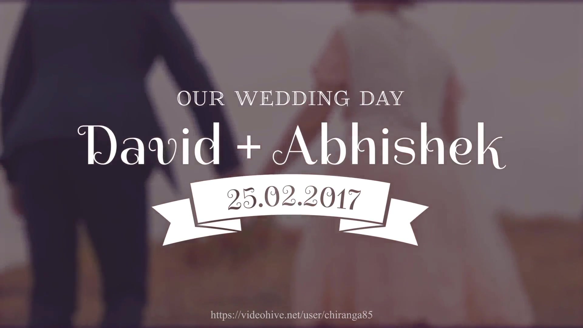 Wedding Titles - Download Videohive 19864773