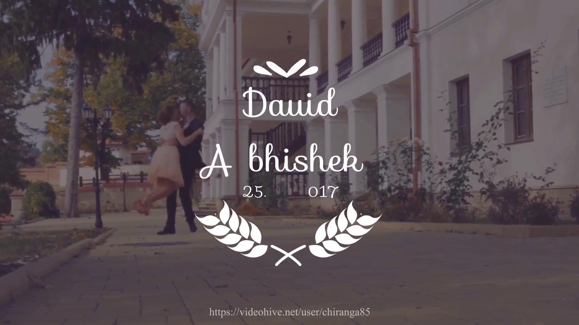 Wedding Titles - Download Videohive 19864773