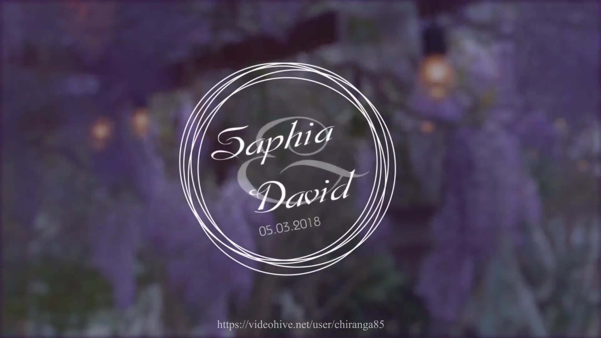 Wedding Titles - Download Videohive 19864773