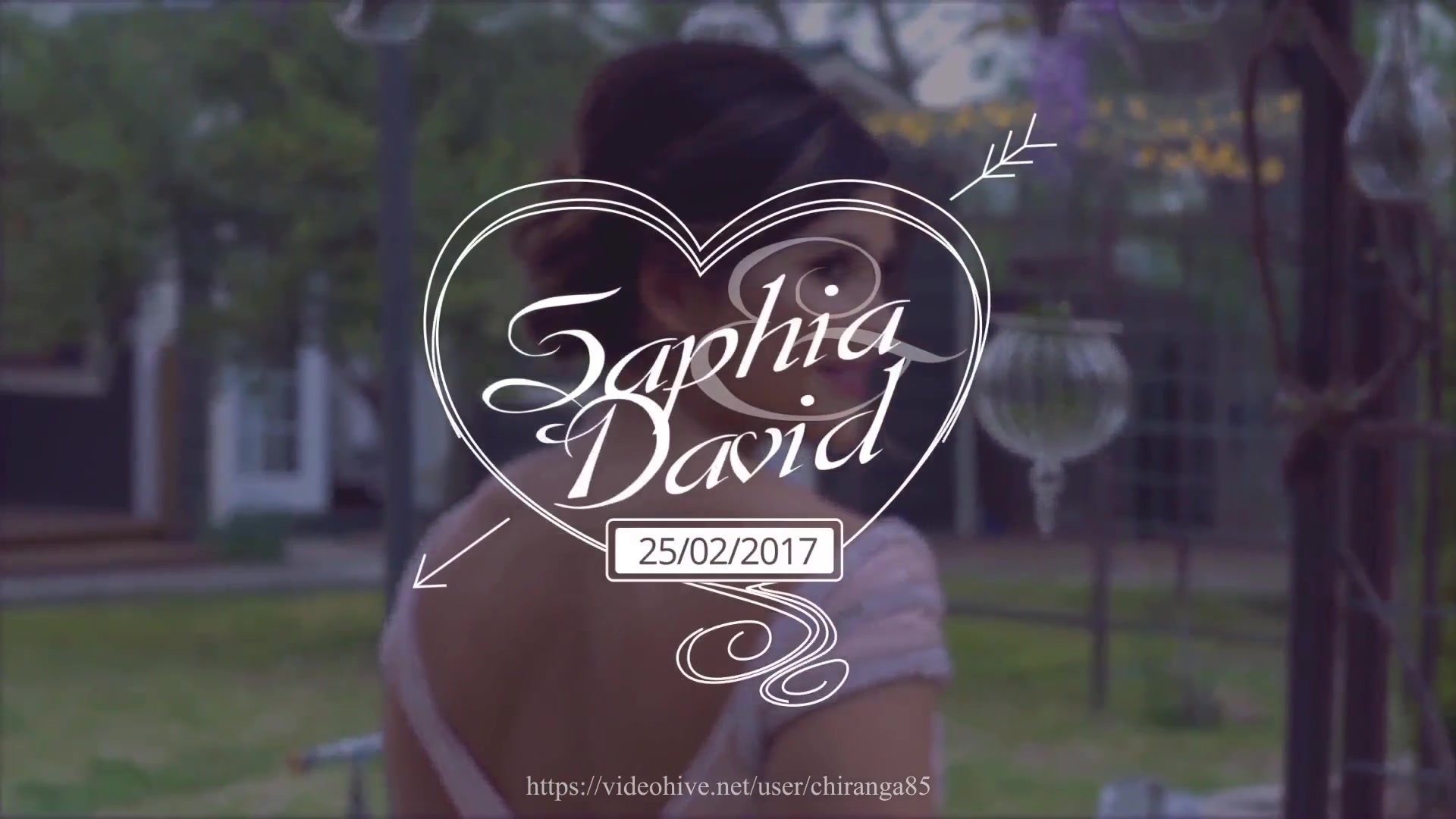 Wedding Titles - Download Videohive 19864773