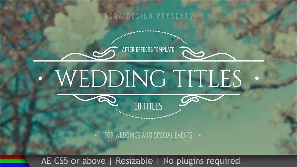 Wedding Titles - Download Videohive 19995952