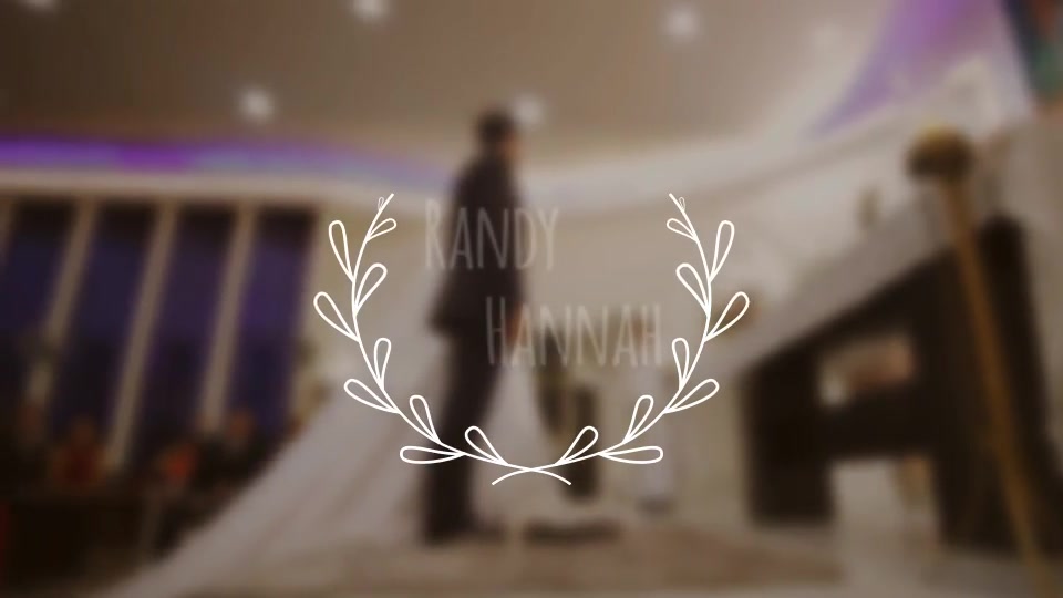 Wedding Titles - Download Videohive 20234573