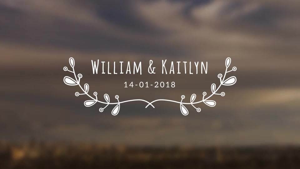 Wedding Titles - Download Videohive 20234573