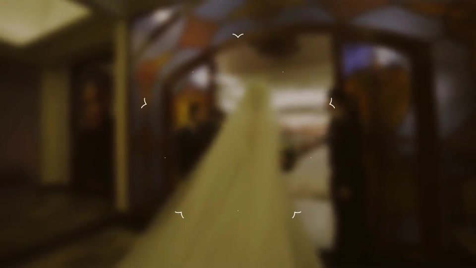 Wedding Titles - Download Videohive 20234573